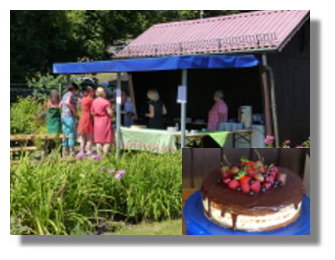 {short description of image}